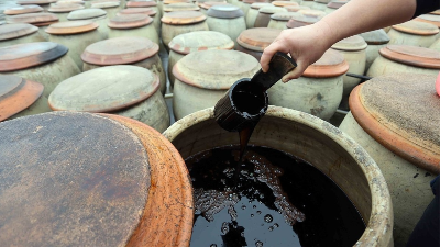 酸性PG电子·麻将胡了官方网站酿造好酱油